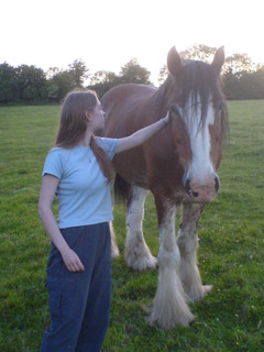 Lydia with a shire horse