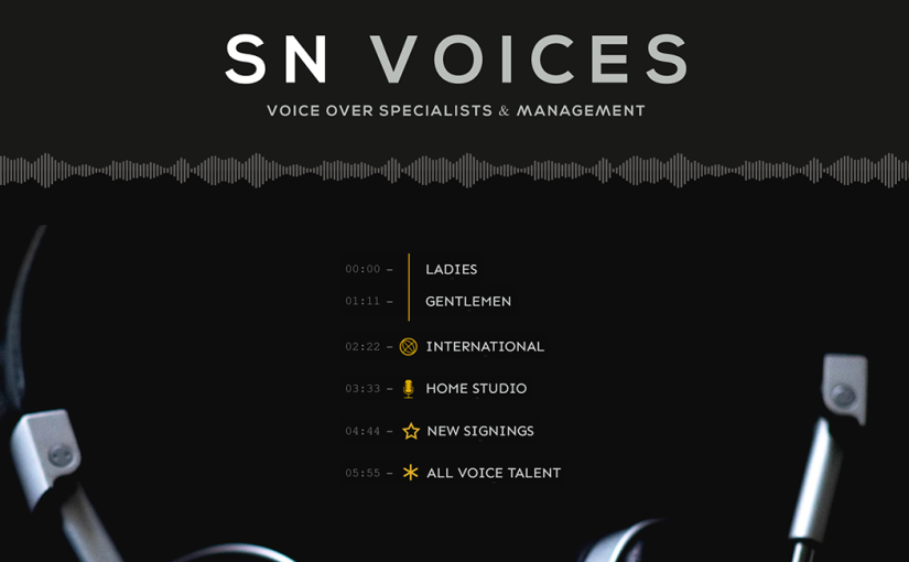 New WordPress website for SN Voices